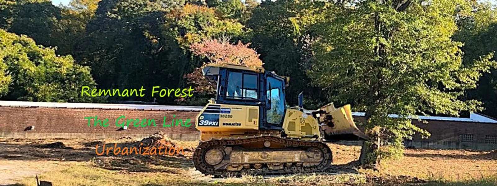 urban-forest-greenville-slide